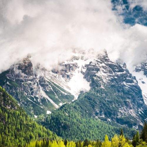 vibrant-green-trees-at-lago-di-landro-lake-in-ital-2025-04-02-01-35-02-utc